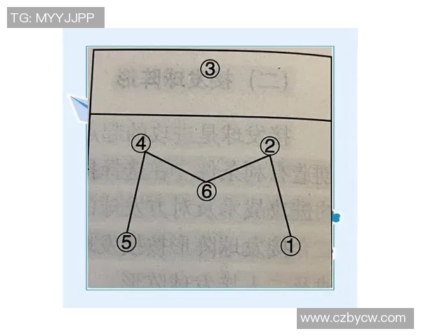 南京排球队进攻策略深度解析与战术创新探讨