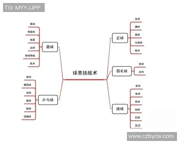 广州篮球队运营体系探讨与战术分析的深度研究